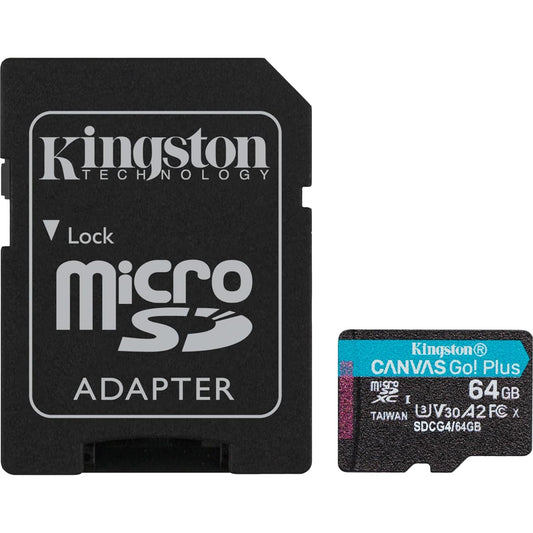 Kingston Canvas Go! Plus SDCG4/256GB 256GB Micro SD Card, UHS-1 (U3)